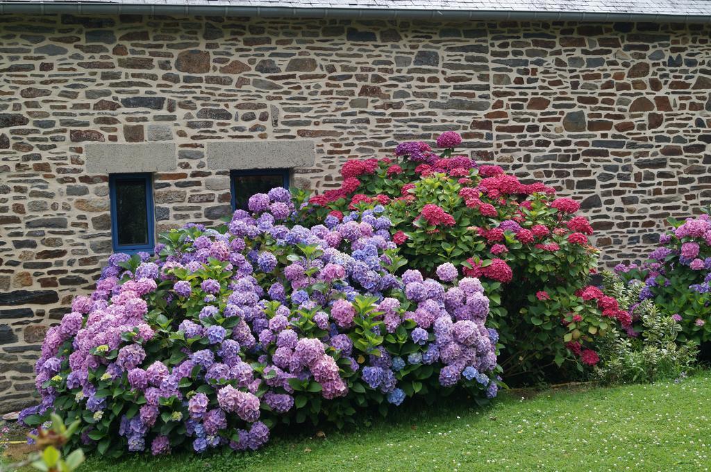 Chambres D'Hotes La Loubatais Dol-de-Bretagne Esterno foto